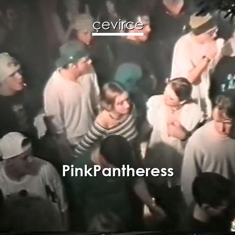 Pinkpantheress Break It Off Englisch Songtext Deutsch Ubersetzung Ubersetzer Corporate Cevirce