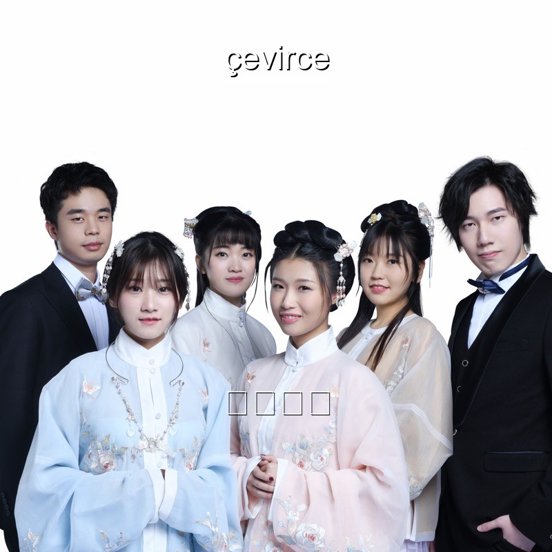 音阙诗听 赵方婧 芒种chinese Lyrics English Translations Translate Institution Cevirce