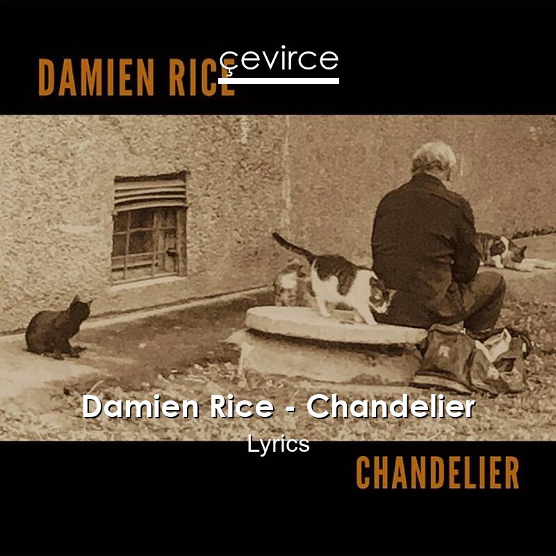 Damien Rice Chandelier Lyrics Translate Institution Cevirce