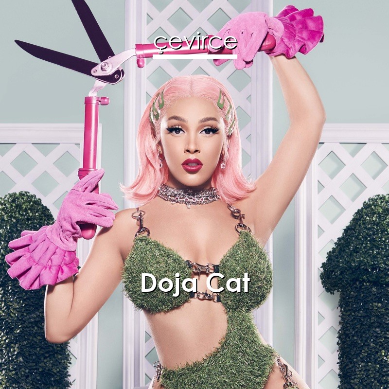 Doja Cat Streets Lyrics Translate Institution Cevirce