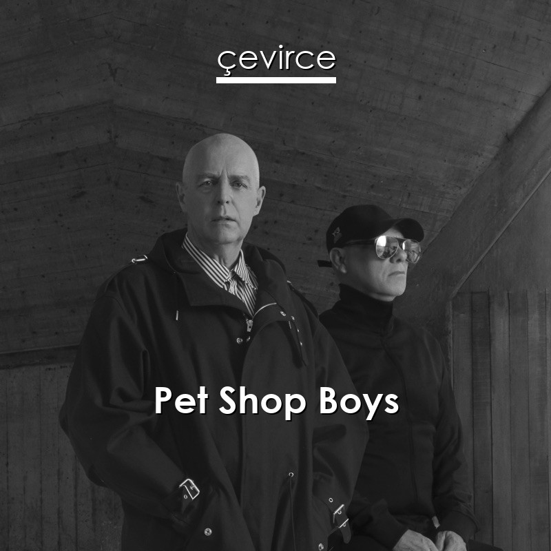 Pet Shop Boys Opportunities Let S Make Lots Of Money Lyrics Translate Institution Cevirce