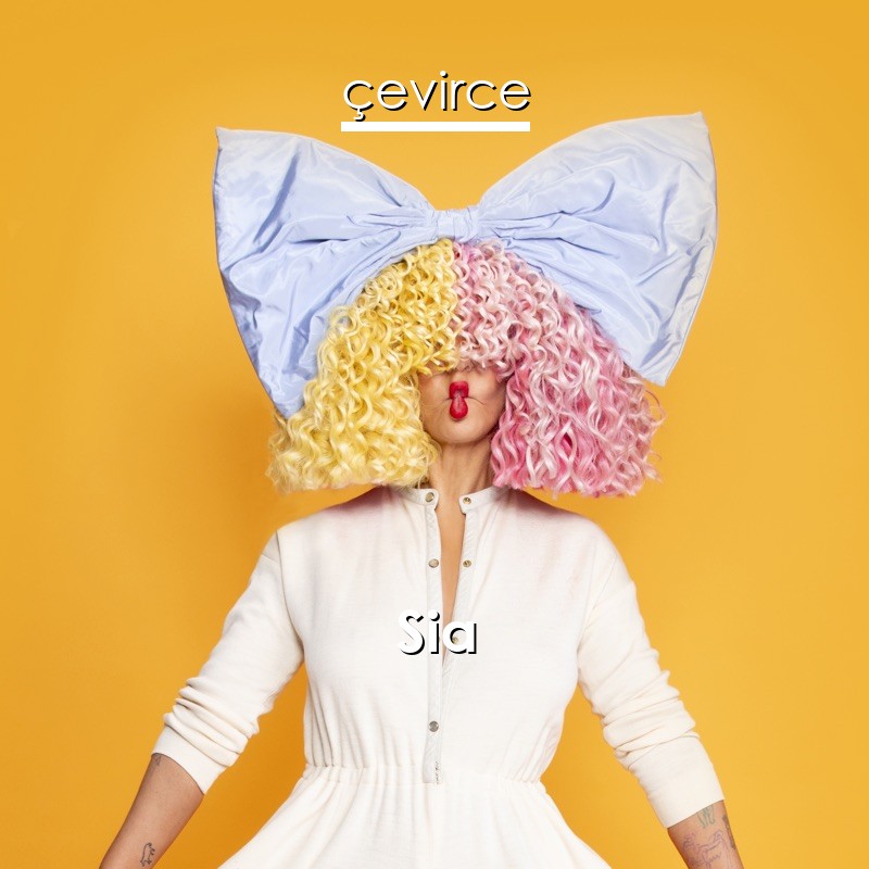 Sia Unstoppable Lyrics Translate Institution Cevirce