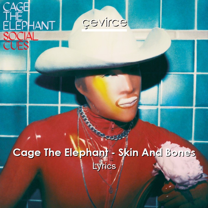 Cage The Elephant Skin And Bones Lyrics Translate Institution Cevirce