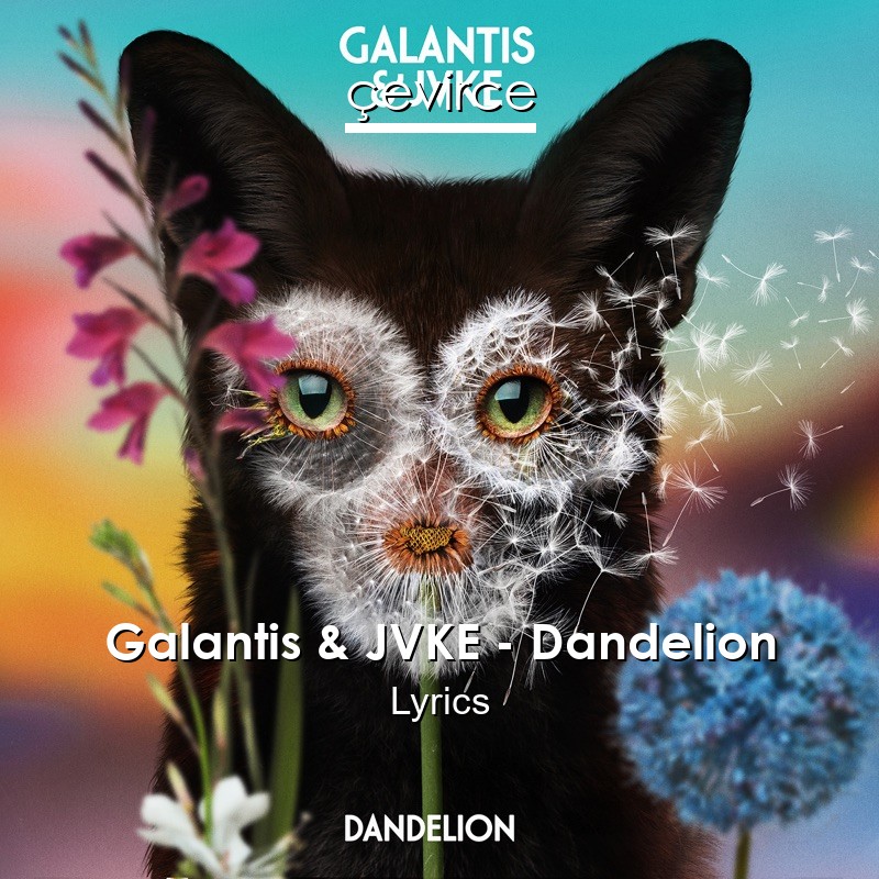 Galantis Jvke Dandelion Lyrics Translate Institution Cevirce