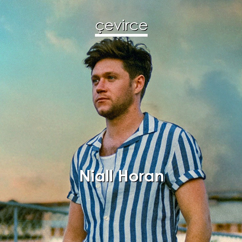 Niall Horan This Town Lyrics Translate Institution Cevirce