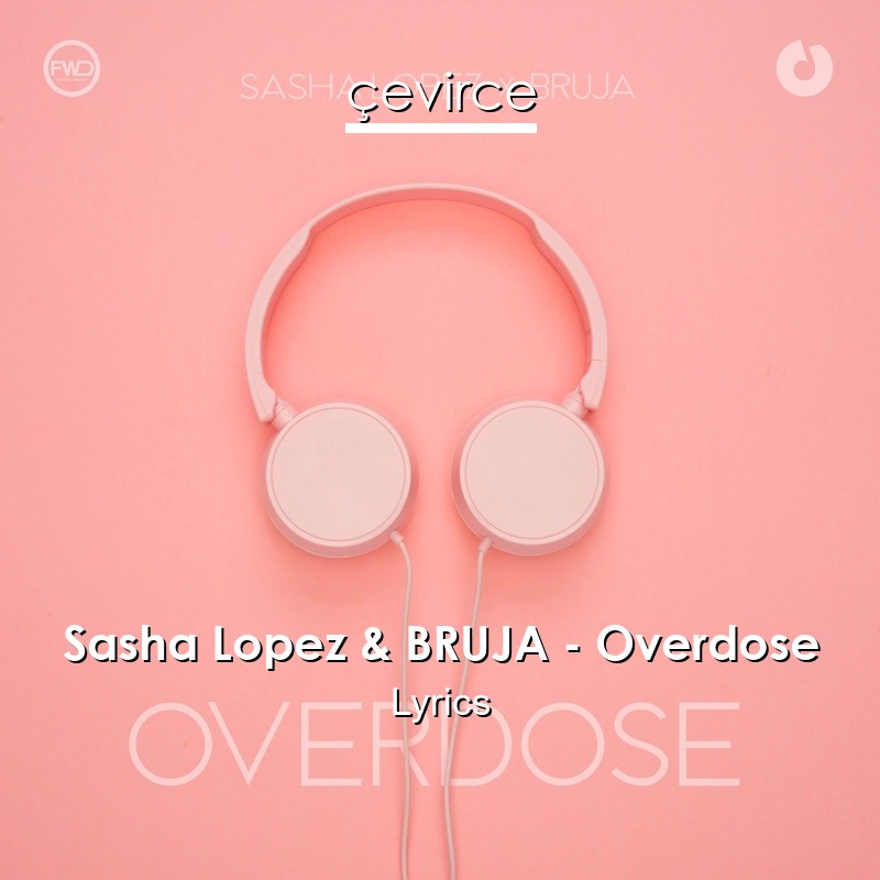 Sasha Lopez Bruja Overdose Lyrics Translate Institution Cevirce