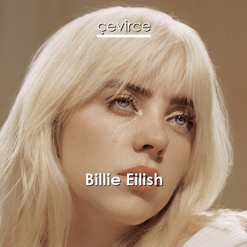Billie Eilish You Should See Me In A Crown Lyrics Translate Institution Cevirce