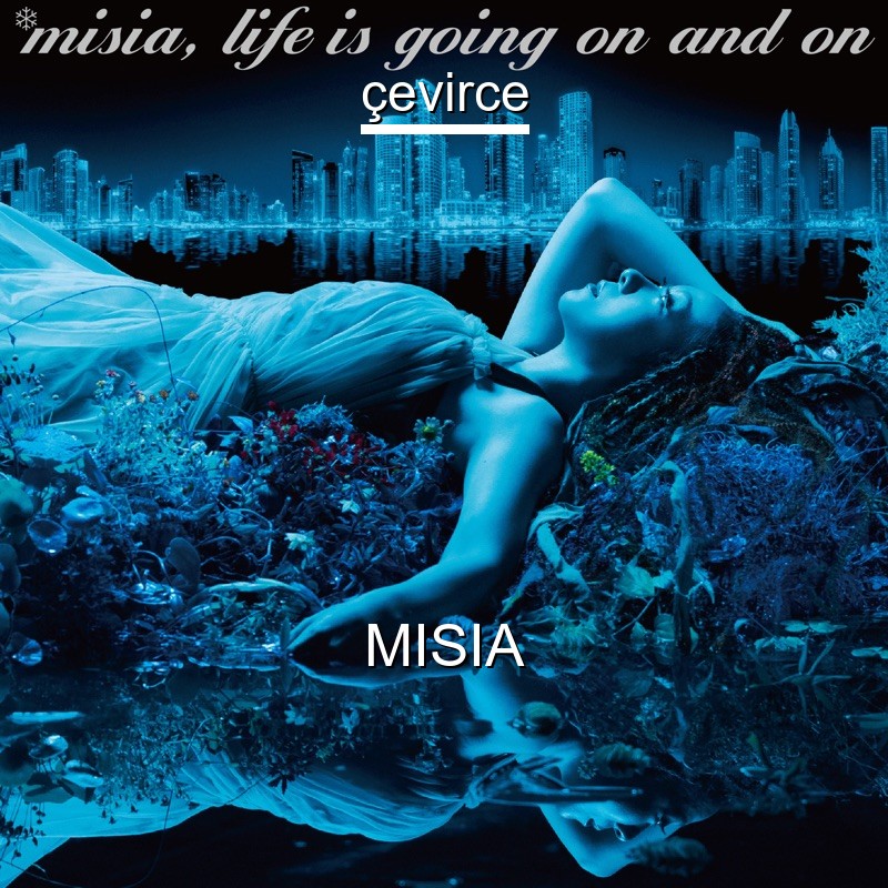 Misia Feat Hide Greeeen Ainokatachi Japanese Lyrics English Translations Translate Institution Cevirce