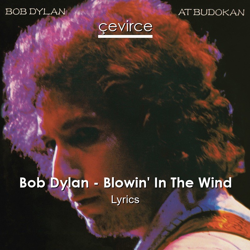 Bob Dylan Blowin In The Wind Lyrics Translate Institution Cevirce