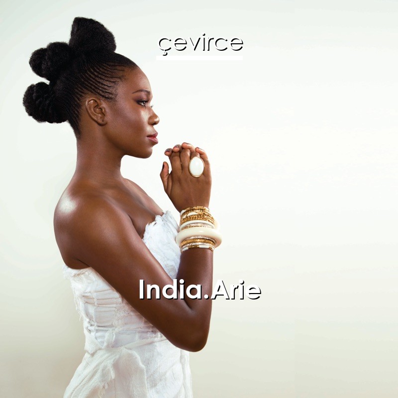 india arie ready for love music video
