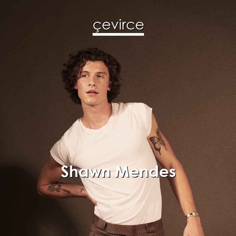 Shawn Mendes If I Can T Have You Lyrics Translate Institution Cevirce