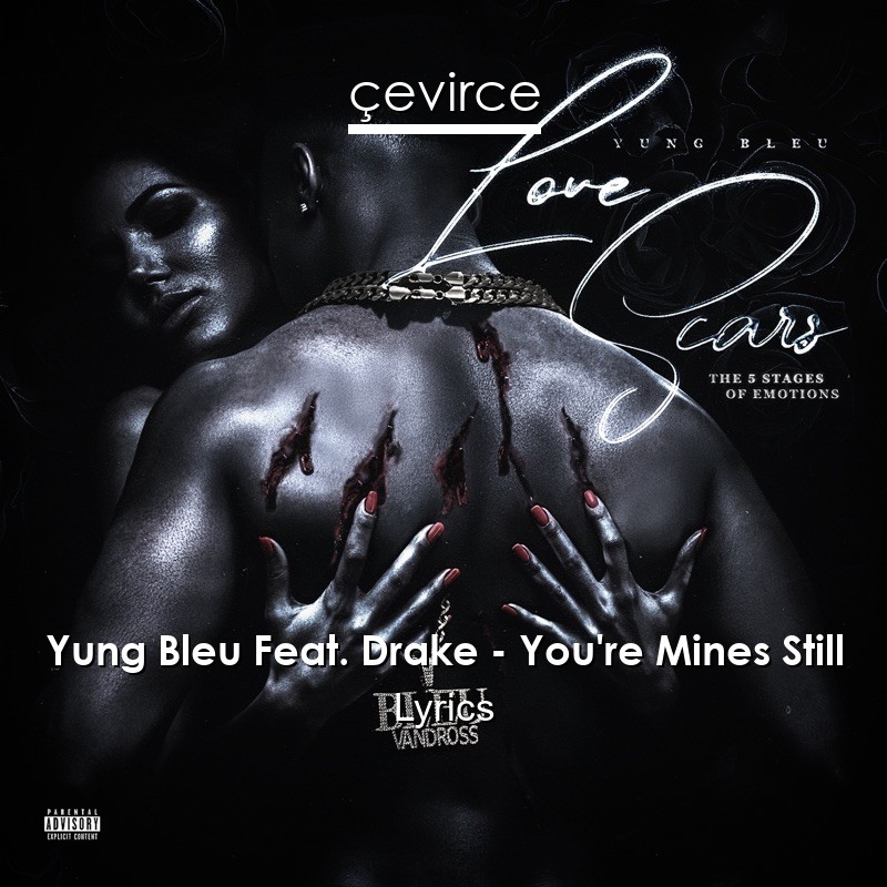 Yung Bleu Feat Drake You Re Mines Still Lyrics Translate Institution Cevirce