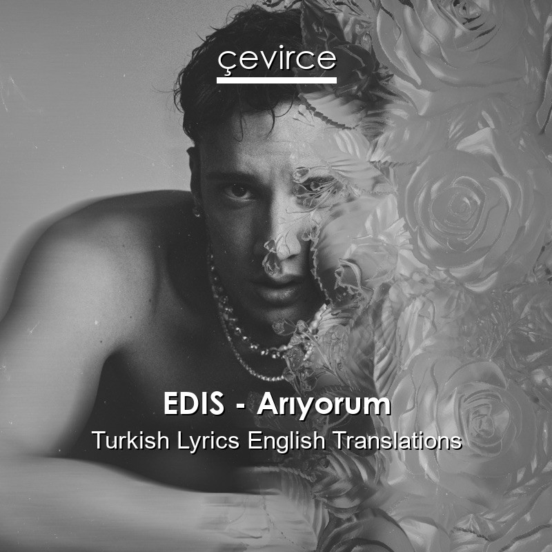 edis ariyorum turkish lyrics english translations translate institution cevirce
