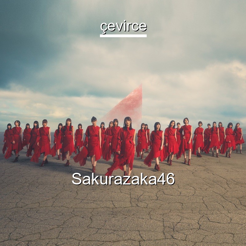 Sakurazaka46 流れ弾 Japanese Lyrics English Translations Translate Institution Cevirce