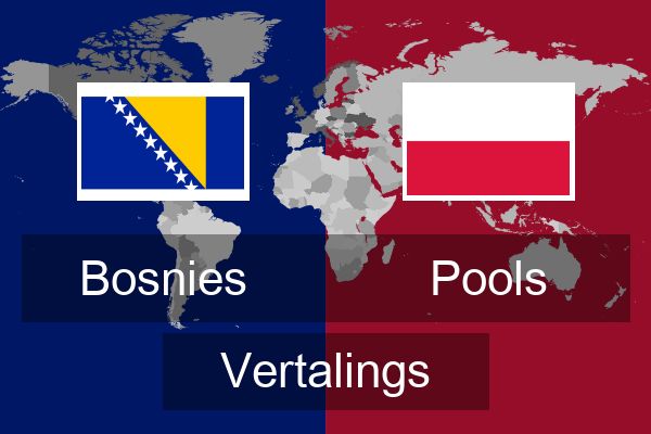  Pools Vertalings