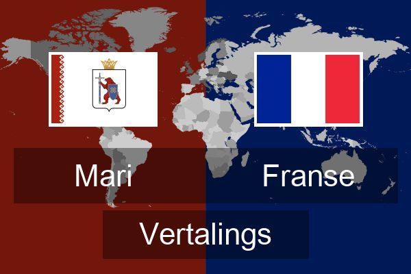  Franse Vertalings