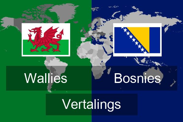  Bosnies Vertalings