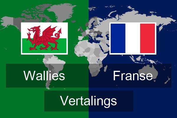  Franse Vertalings