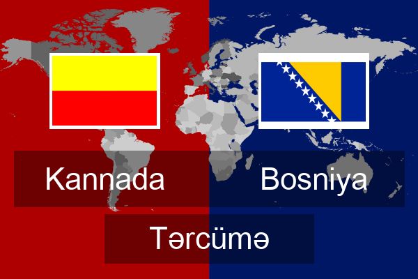  Bosniya Tərcümə