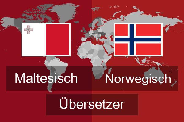  Norwegisch Übersetzer