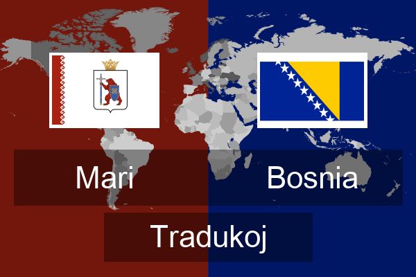  Bosnia Tradukoj