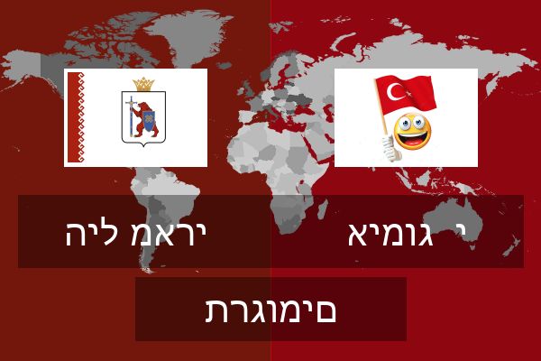  אימוג  י תרגומים