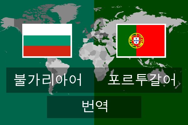  포르투갈어 번역