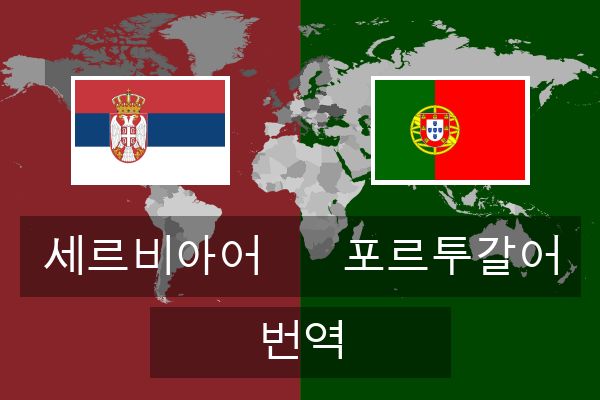  포르투갈어 번역