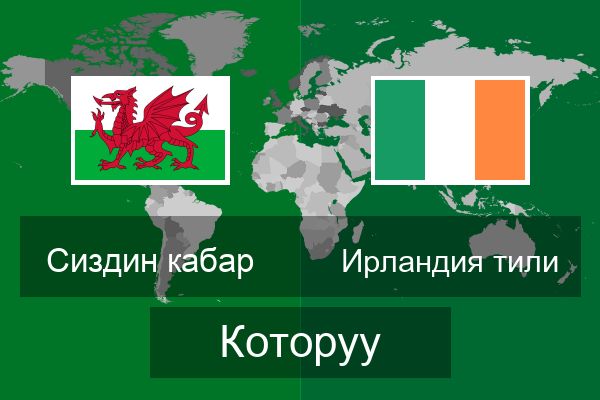  Ирландия тили Которуу