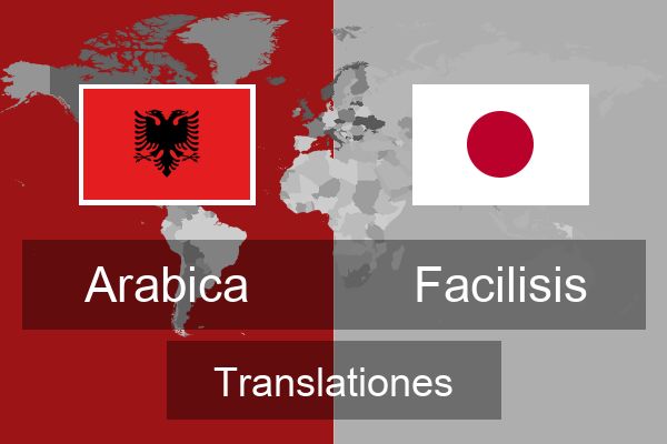  Facilisis Translationes