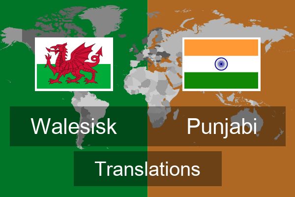  Punjabi Translations