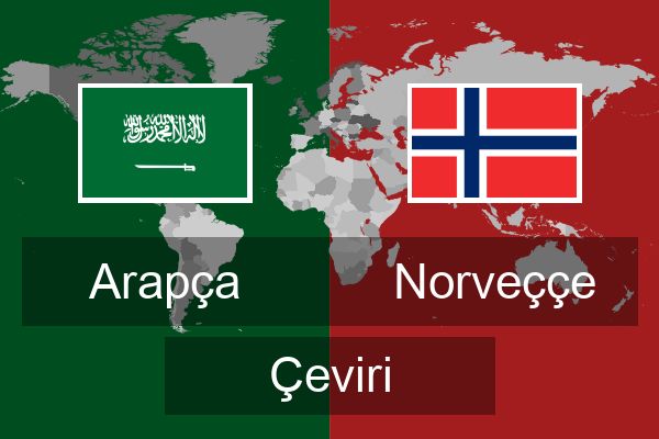  Norveççe Çeviri