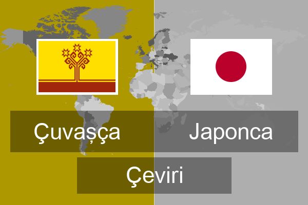  Japonca Çeviri