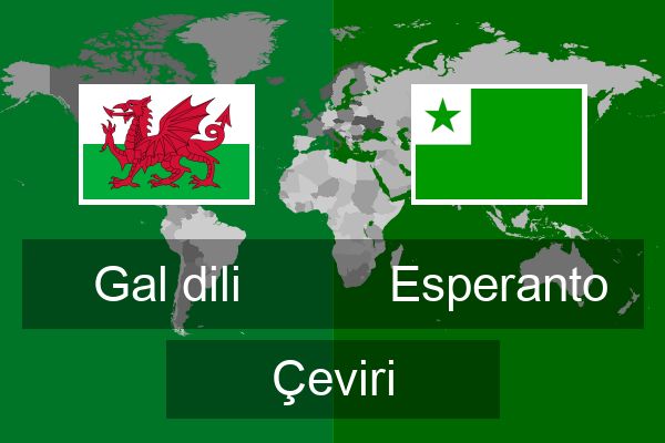  Esperanto Çeviri