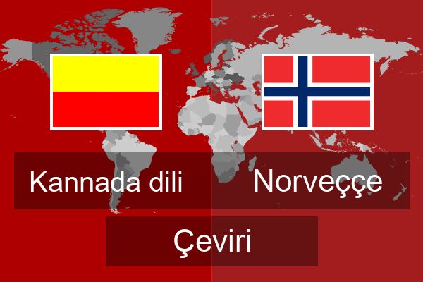  Norveççe Çeviri