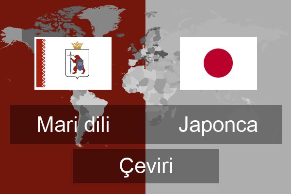  Japonca Çeviri