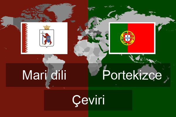  Portekizce Çeviri