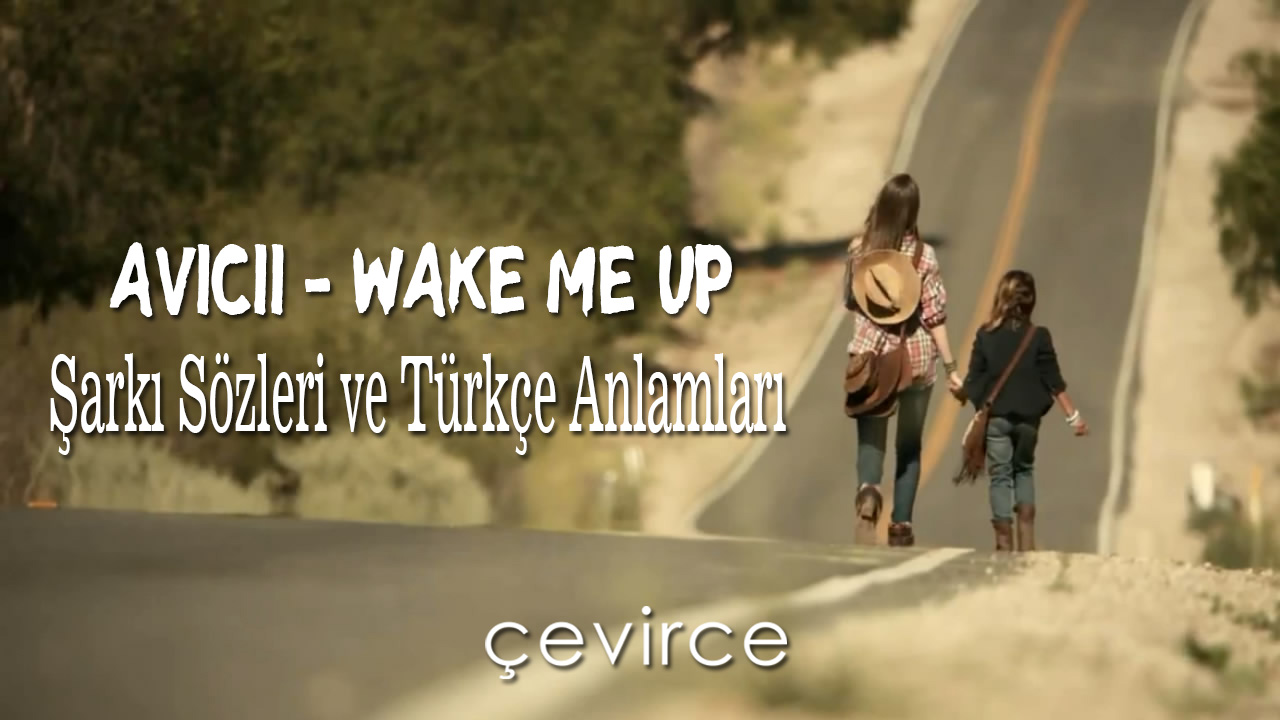 Avicii – Wake Me Up Şarkı Sözleri ve Türkçe Anlamları