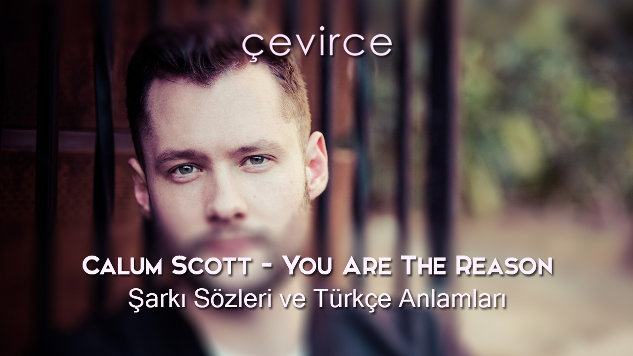 Calum Scott – You Are The Reason Şarkı Sözleri ve Türkçe Anlamları