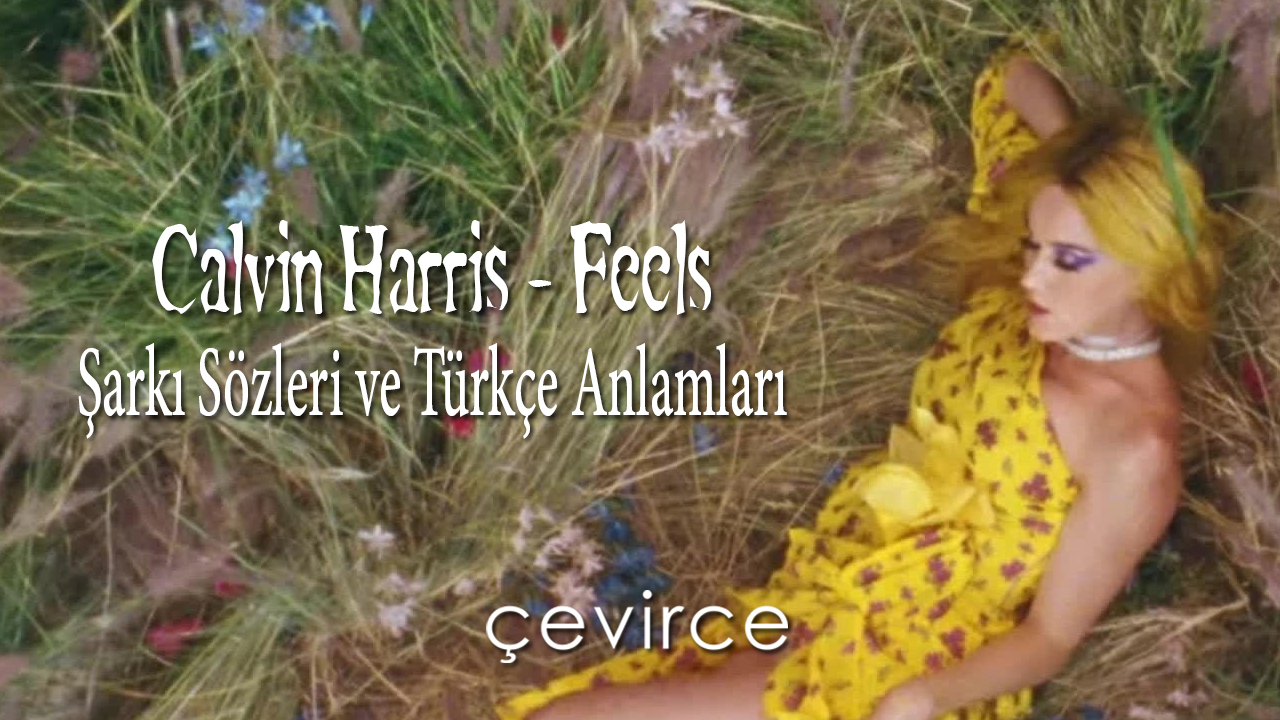 Calvin Harris – Feels Şarkı Sözleri ve Türkçe Anlamları