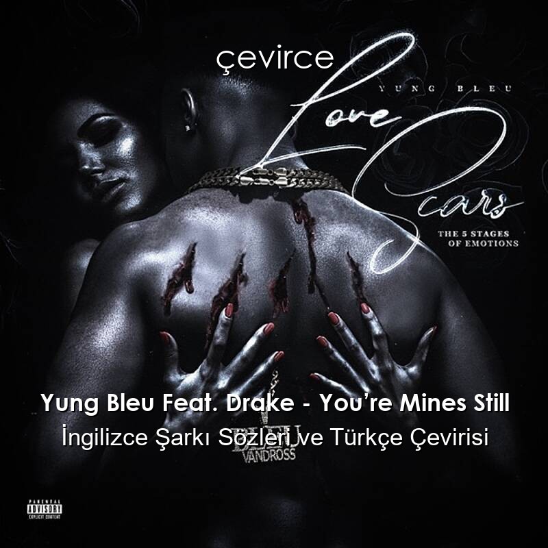 Yung Bleu Feat. Drake – You’re Mines Still İngilizce Şarkı Sözleri ve Türkçe Çevirisi