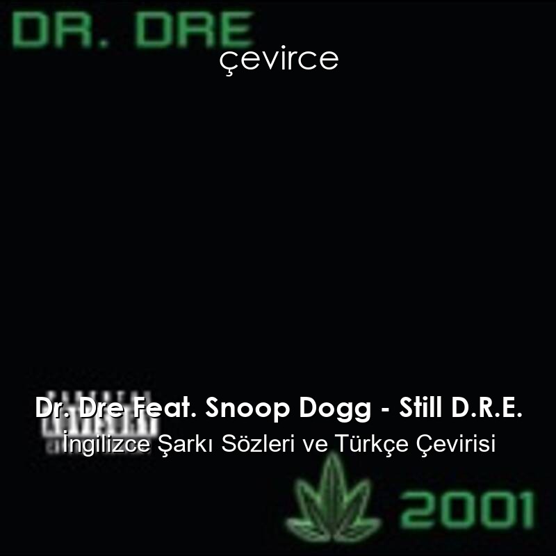 Dr. Dre Feat. Snoop Dogg – Still D.R.E. İngilizce Sözleri Türkçe Anlamları