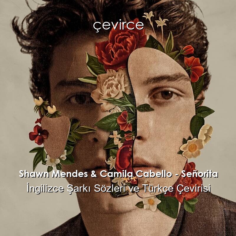 Shawn Mendes & Camila Cabello – Señorita İngilizce Şarkı Sözleri ve Türkçe Çevirisi