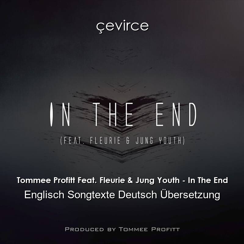 Tommee Profitt Feat. Fleurie & Jung Youth – In The End Englisch Songtexte Deutsch Übersetzung