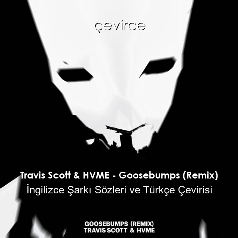 Travis Scott & HVME – Goosebumps (Remix) İngilizce Sözleri Türkçe Anlamları