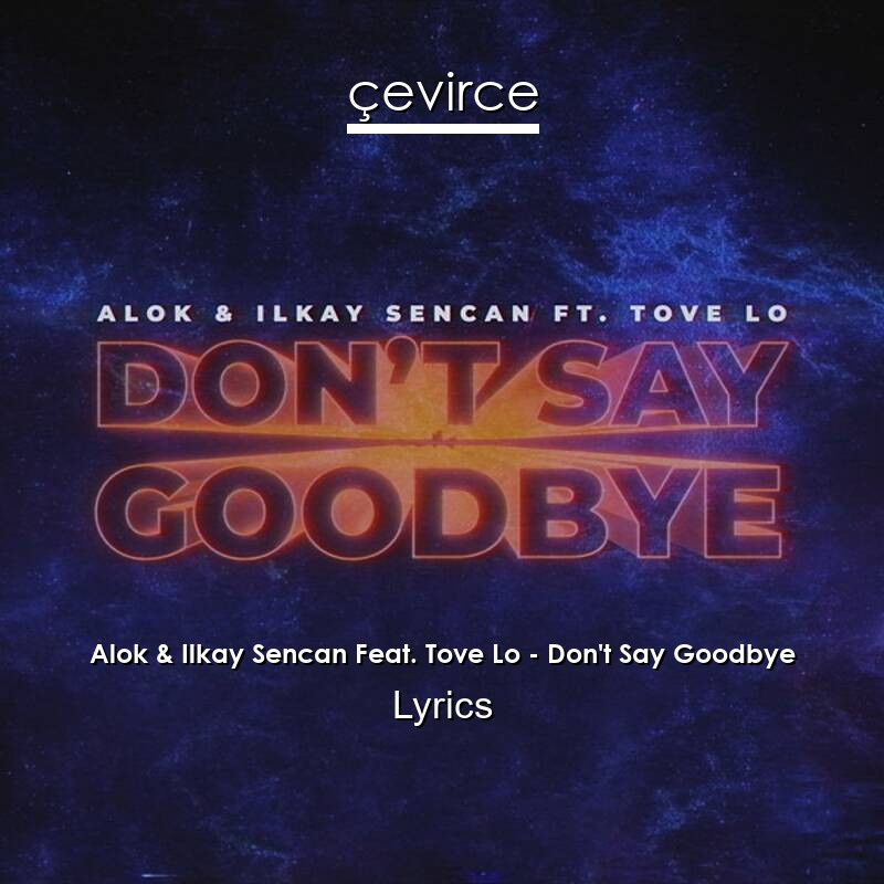 Alok & Ilkay Sencan Feat. Tove Lo – Don’t Say Goodbye Lyrics