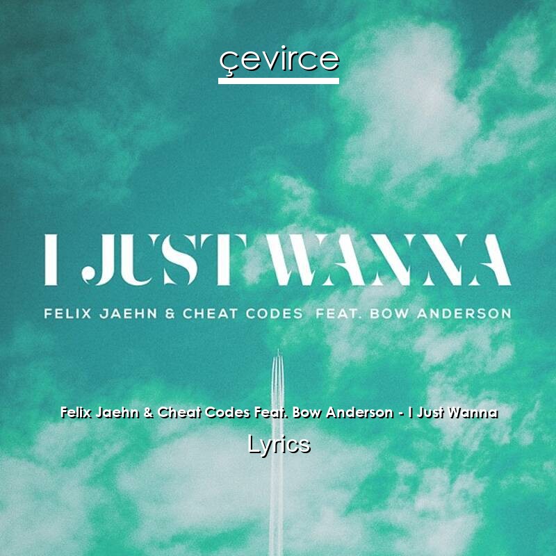 Felix Jaehn & Cheat Codes Feat. Bow Anderson – I Just Wanna Lyrics