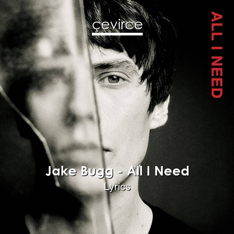 Jake Bugg – All I Need Lyrics