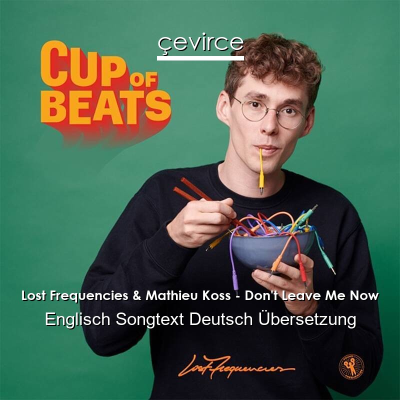 Lost Frequencies & Mathieu Koss – Don’t Leave Me Now Englisch Songtext Deutsch Übersetzung