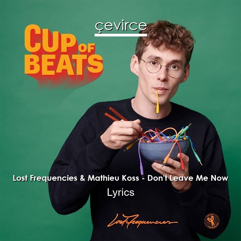 Lost Frequencies & Mathieu Koss – Don’t Leave Me Now Lyrics